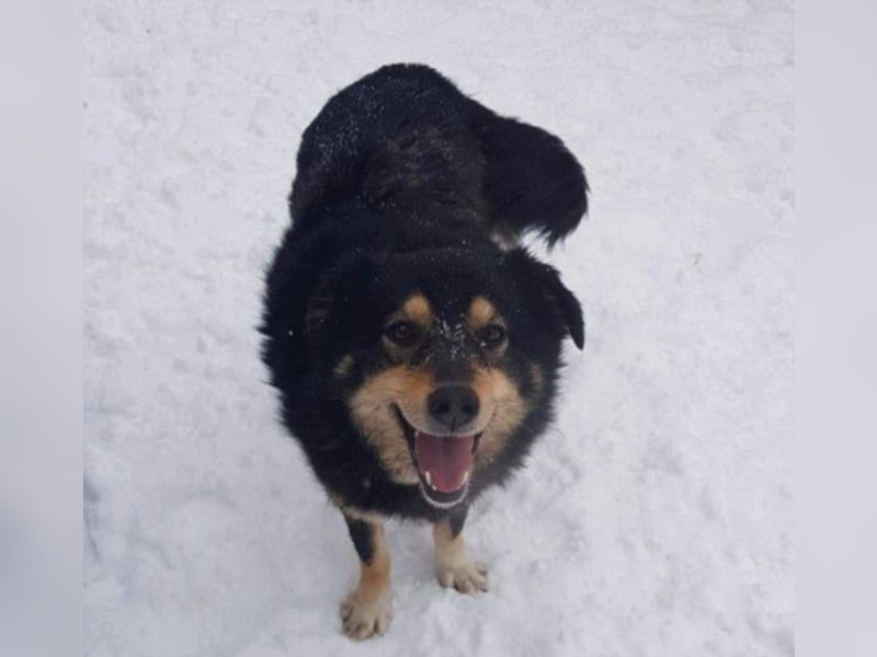 Berta sucht ein Zuhause.