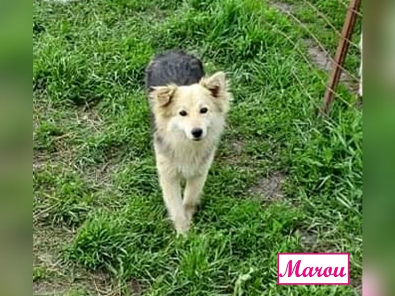 Marthe & Marou