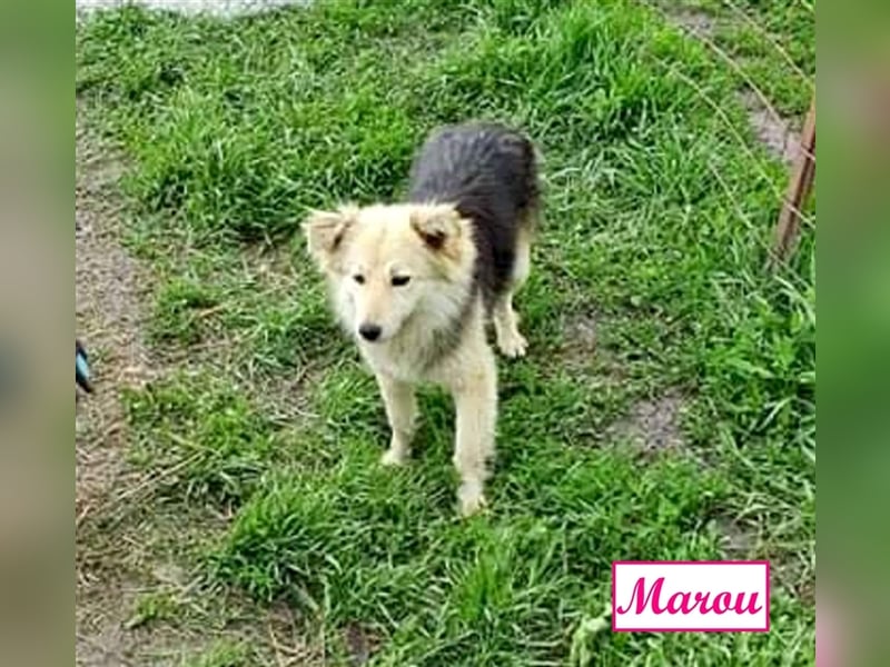 Marthe & Marou