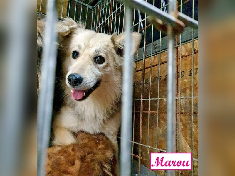 Marthe & Marou