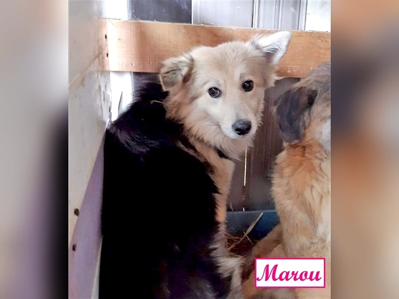 Marthe & Marou
