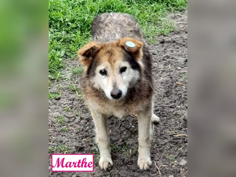 Marthe & Marou
