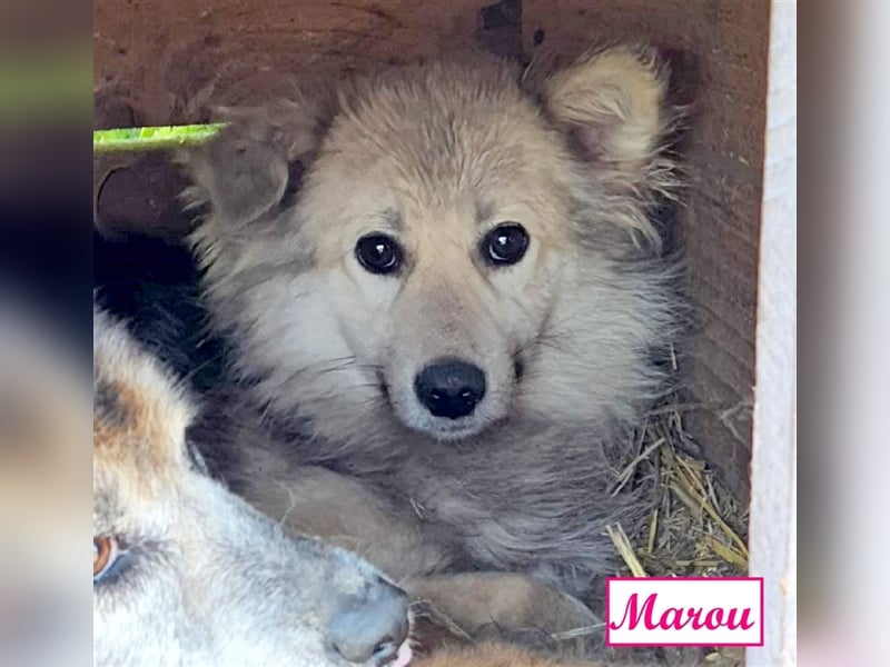 Marthe & Marou