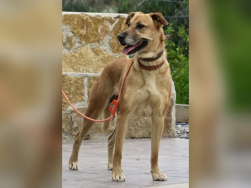 Hellen, sucht Altersruhesitz - NOTFALL -