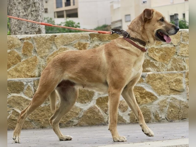 Hellen, sucht Altersruhesitz - NOTFALL -
