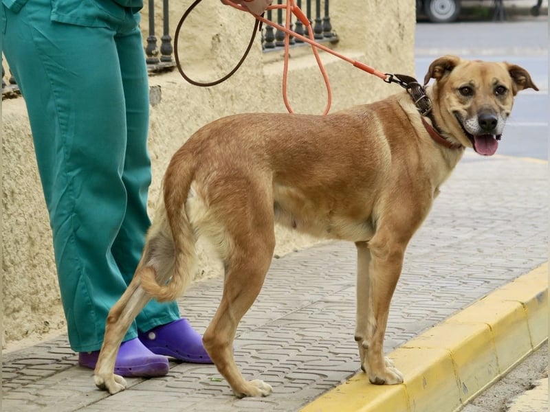 Hellen, sucht Altersruhesitz - NOTFALL -