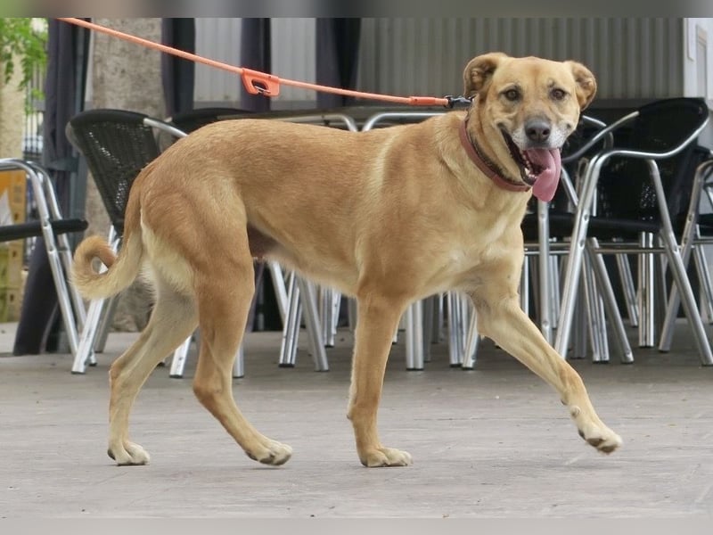 Hellen, sucht Altersruhesitz - NOTFALL -