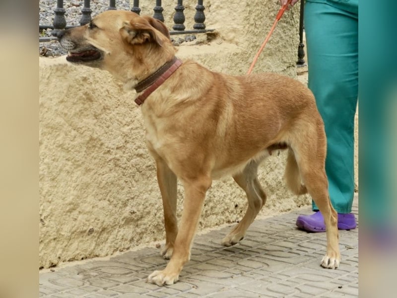 Hellen, sucht Altersruhesitz - NOTFALL -