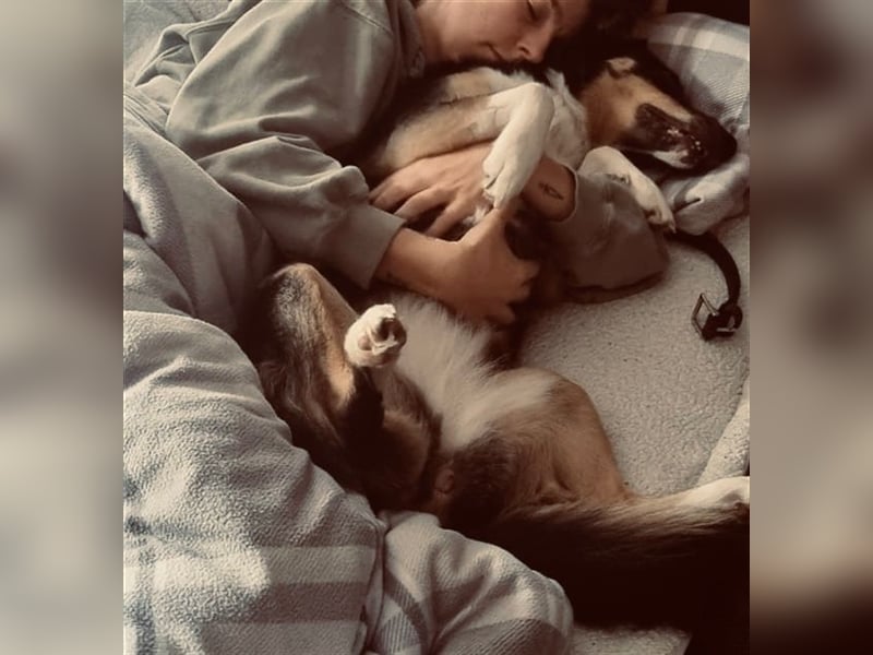 Zula