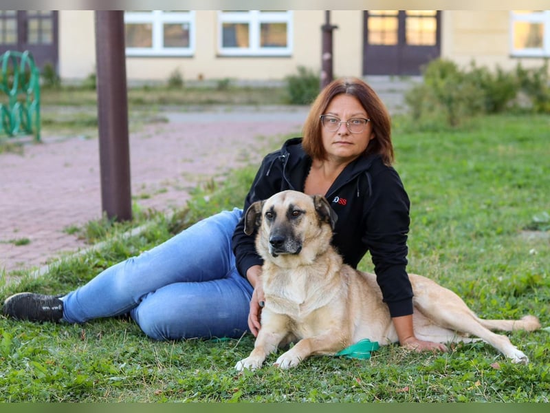 Chilly - eine liebevolle Hundedame auf der Suche nach ihrem Glück!