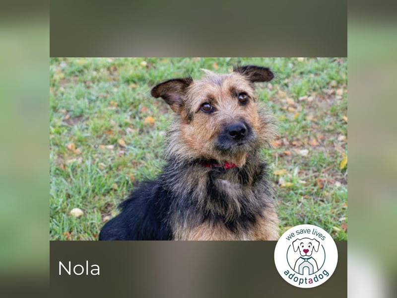 Nola, sucht einfühlsame Menschen