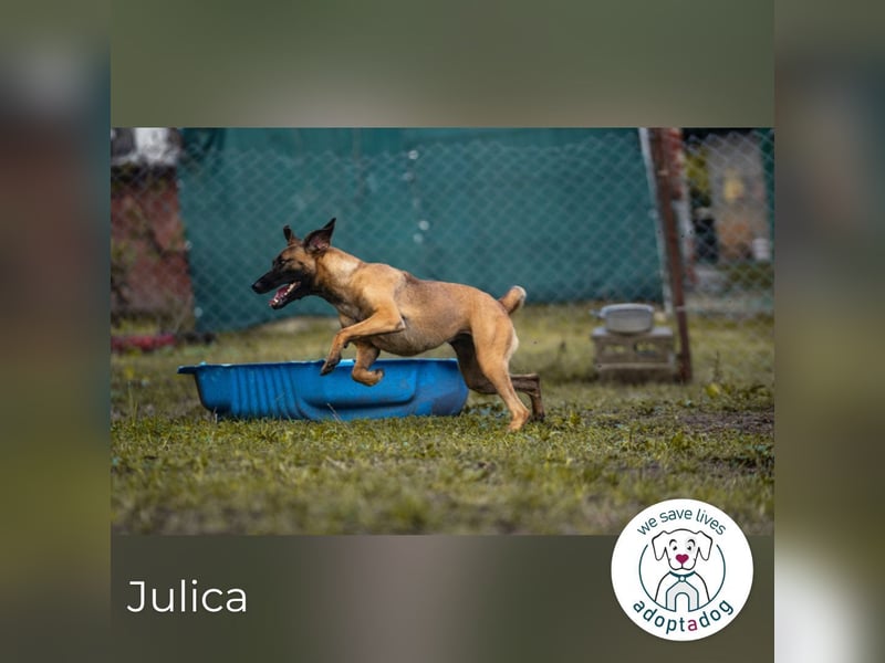 Julica: Volle Kraft voraus!