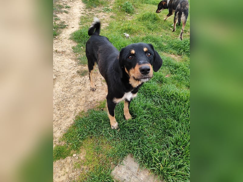 Frida - Wunderhübsch und noch auf der Straße