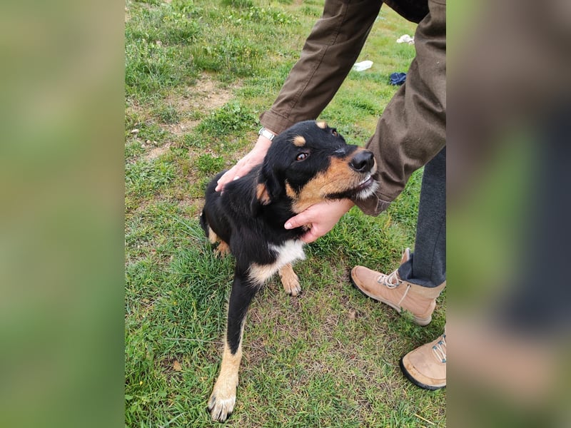 Frida - Wunderhübsch und noch auf der Straße