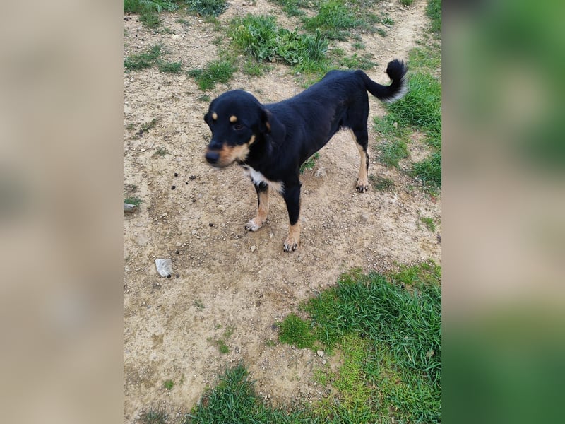 Frida - Wunderhübsch und noch auf der Straße