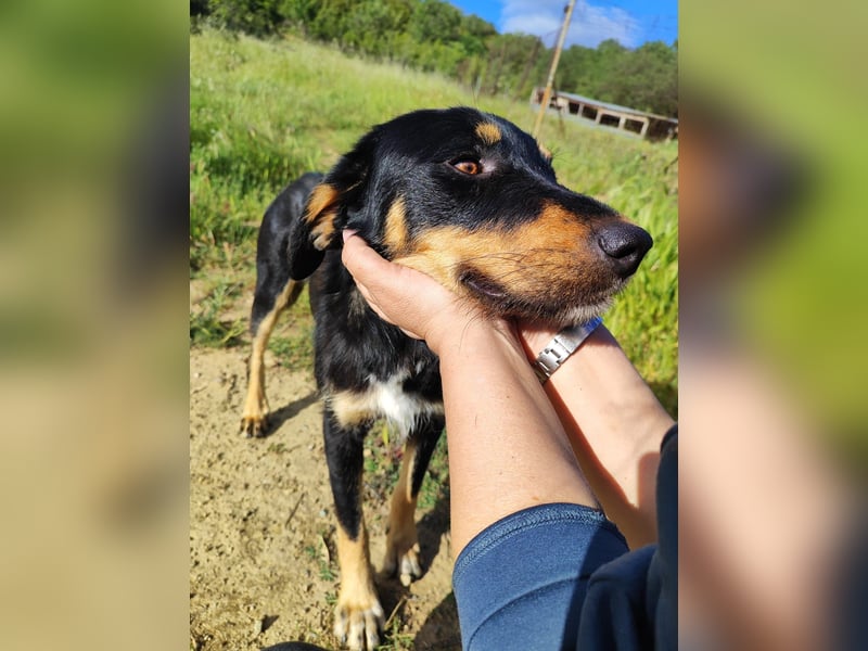 Frida - Wunderhübsch und noch auf der Straße