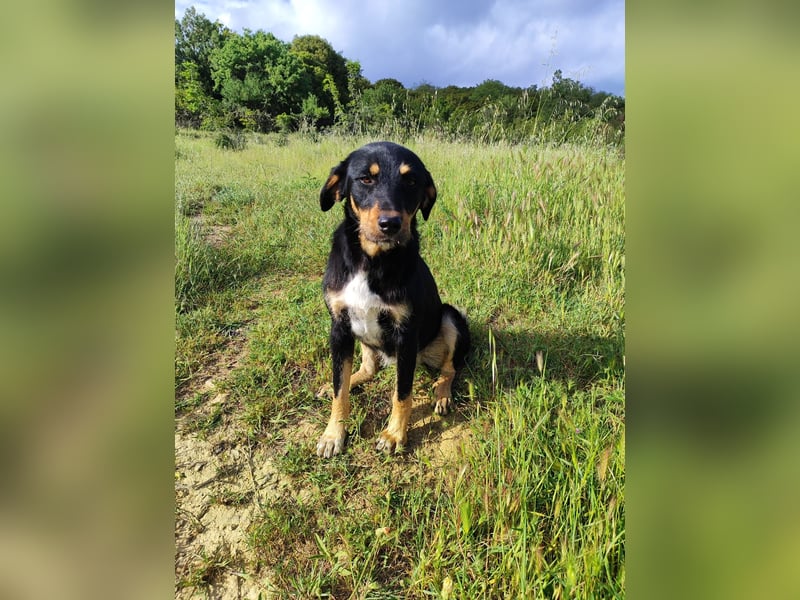 Frida - Wunderhübsch und noch auf der Straße
