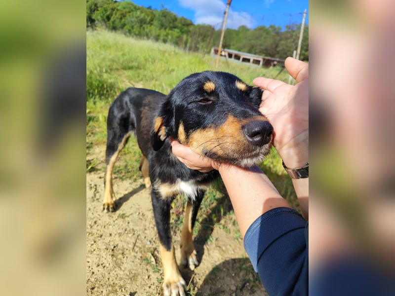 Frida - Wunderhübsch und noch auf der Straße