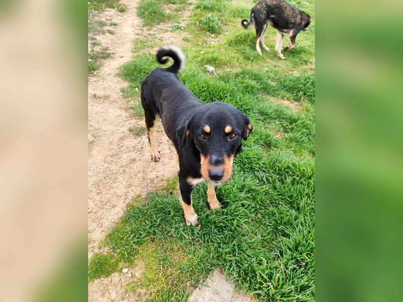 Frida - Wunderhübsch und noch auf der Straße