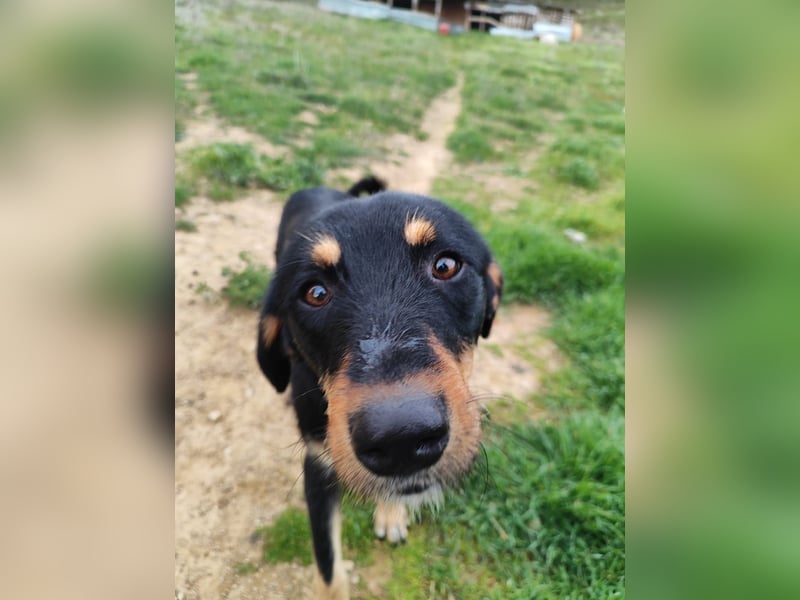 Frida - Wunderhübsch und noch auf der Straße