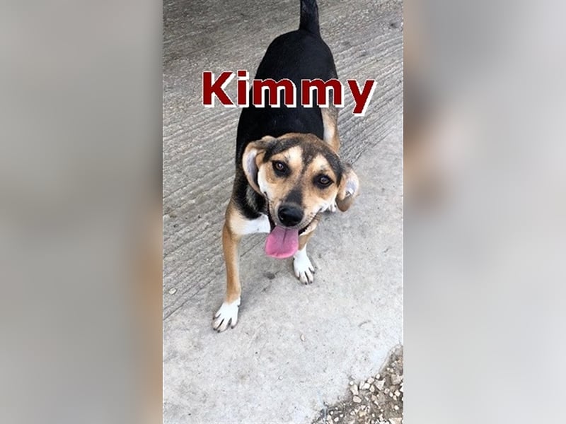 KIMMY ❤  wartet in 65618 Selters auf Dich