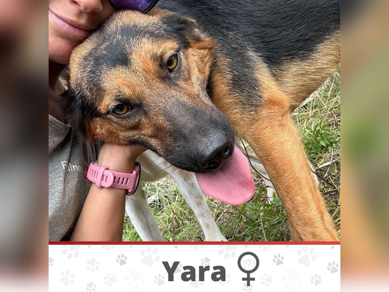 YARA ❤  wartet in 26676 Barßel auf Dich
