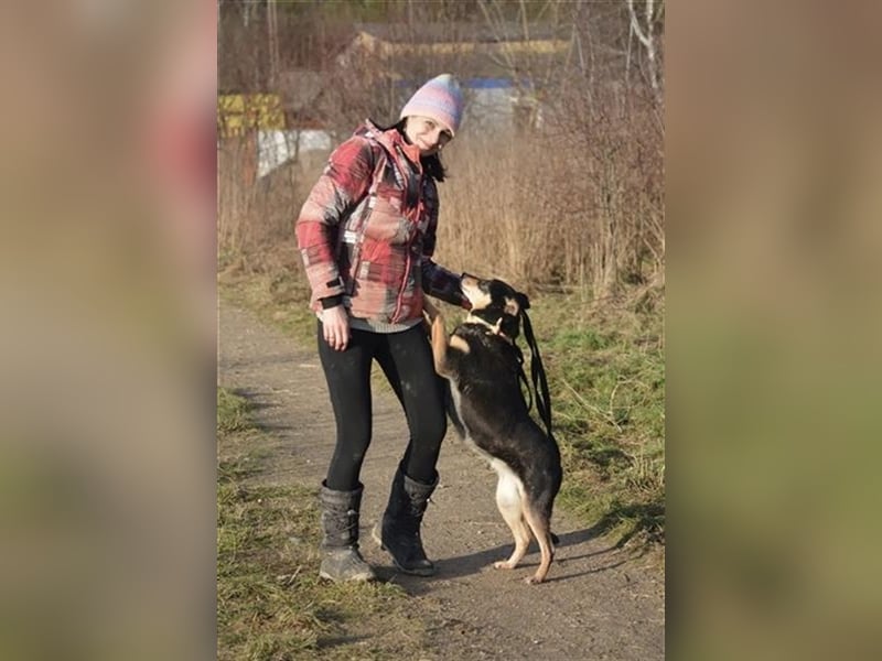Lissy - Sehr liebe und ruhige, verträgliche Hündin, 10 Jahre und voller Lebensfreude