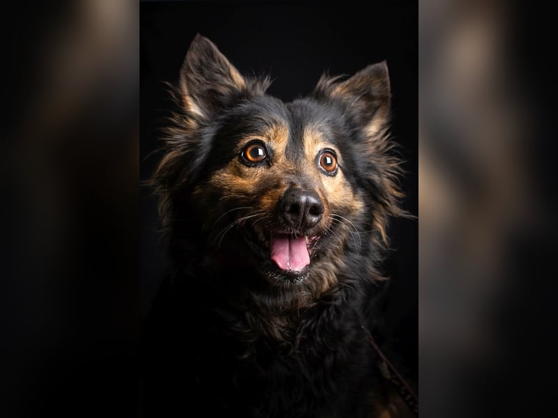 Stella - rüstige Seniorin die noch flott unterwegs ist