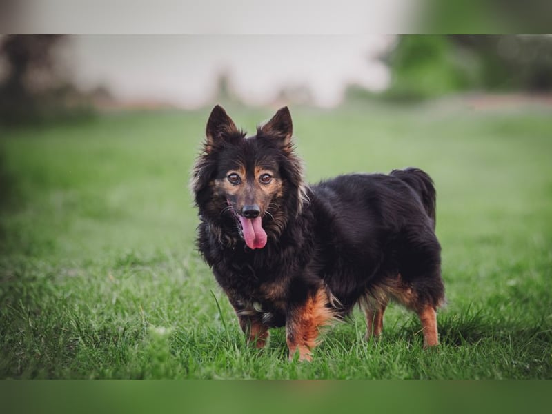 Stella - rüstige Seniorin die noch flott unterwegs ist