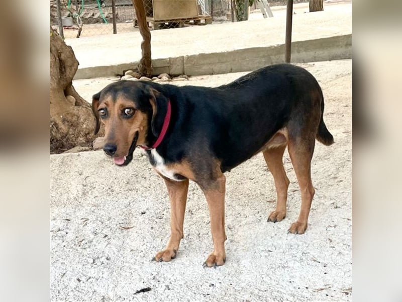 Dasha sucht liebevolle Menschen