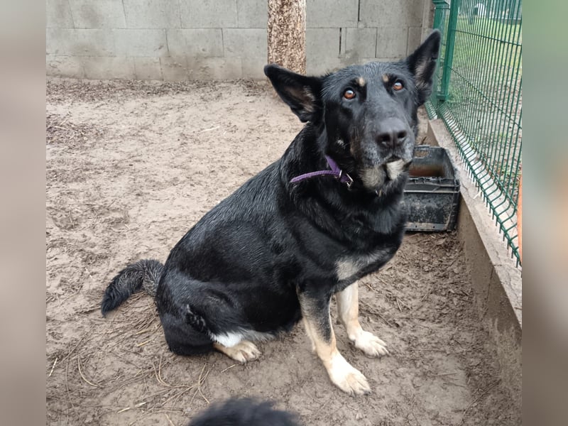 Bekommt Samy eine Chance?