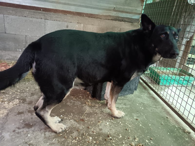 Bekommt Samy eine Chance?