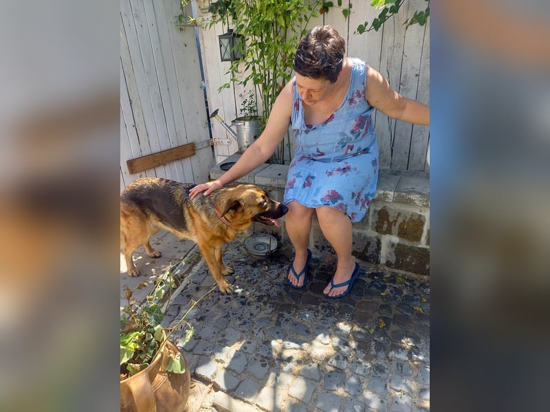 Molly sucht ein liebevolles Zuhause