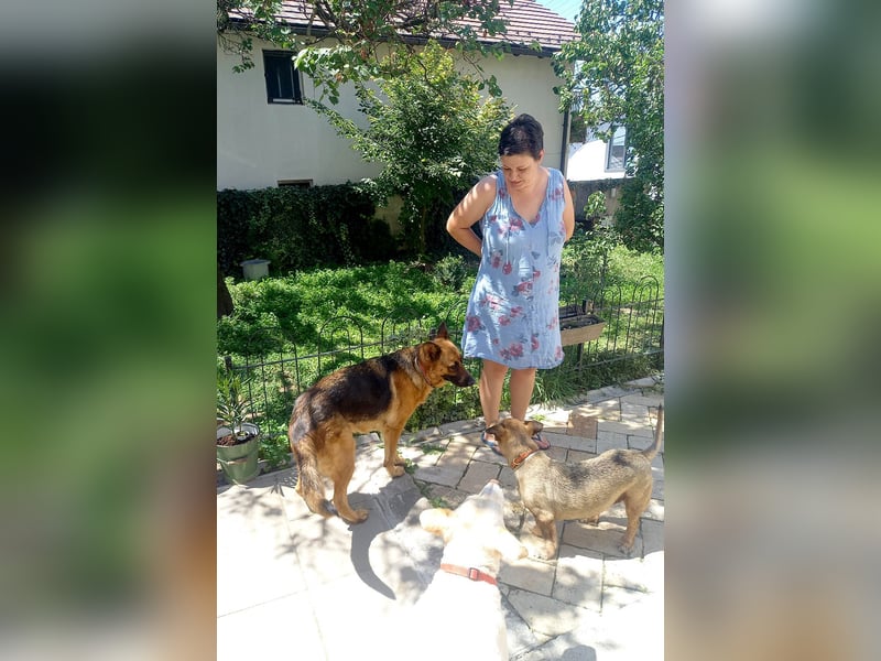 Molly sucht ein liebevolles Zuhause