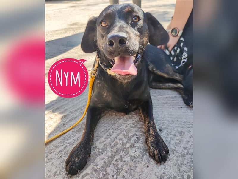 Nym eine Kuschelmaus