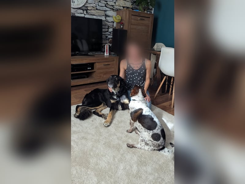 Sanfte Cora❤️ sucht liebevolles Zuhause