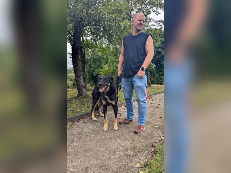 Sanfte Cora❤️ sucht liebevolles Zuhause