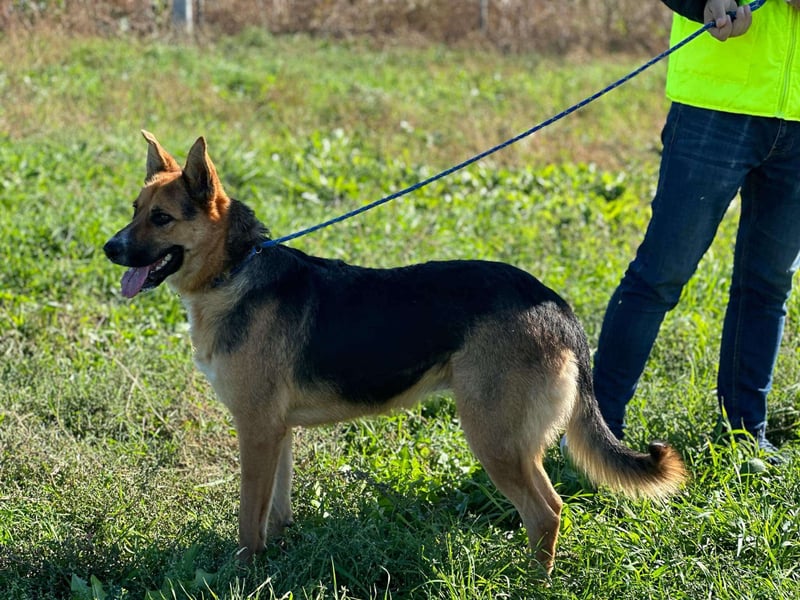 Offene liebevolle Anka sucht ihre Familie