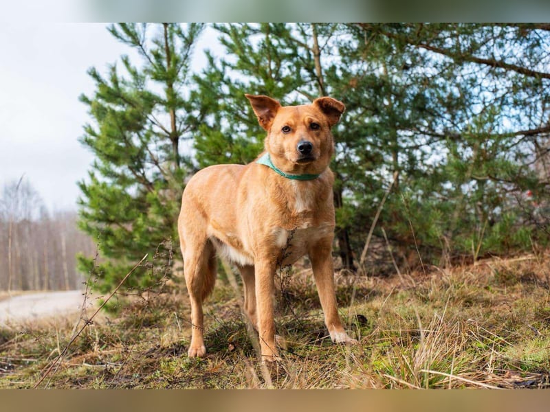 Ruhiges Zuhause für Margo gesucht