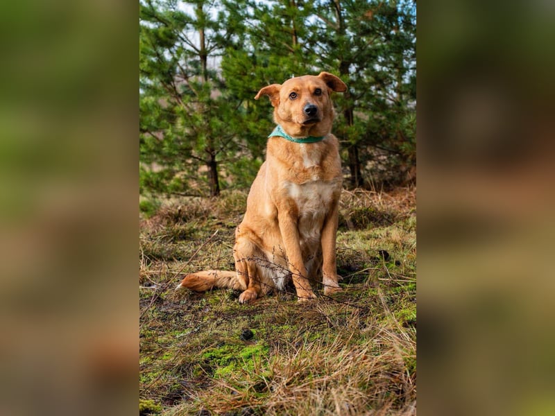 Ruhiges Zuhause für Margo gesucht