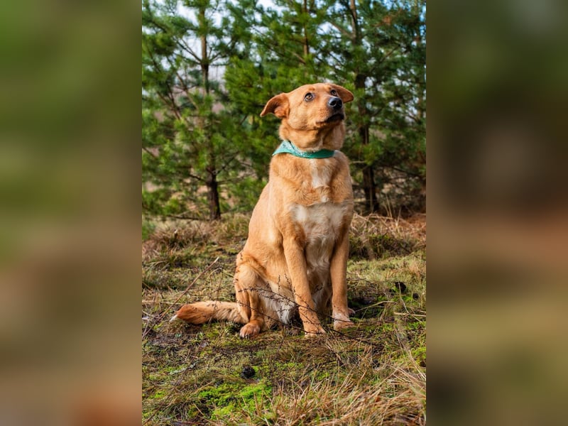 Ruhiges Zuhause für Margo gesucht