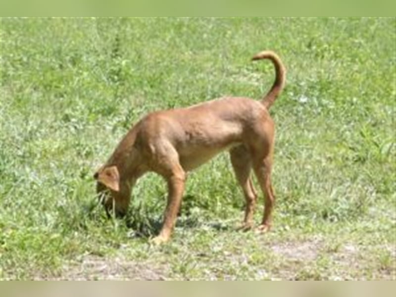 SALLY ist noch sehr ängstlich