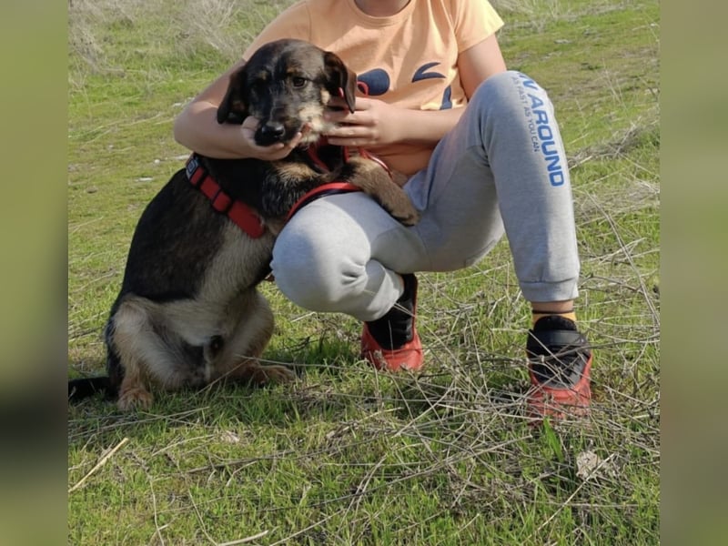Moni sucht ein Zuhause