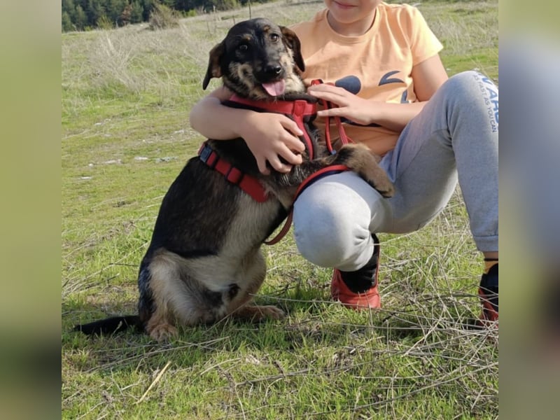 Moni sucht ein Zuhause