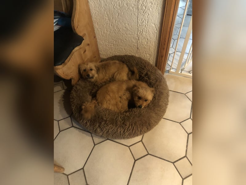 Geschwisterpaar Ida und Eric