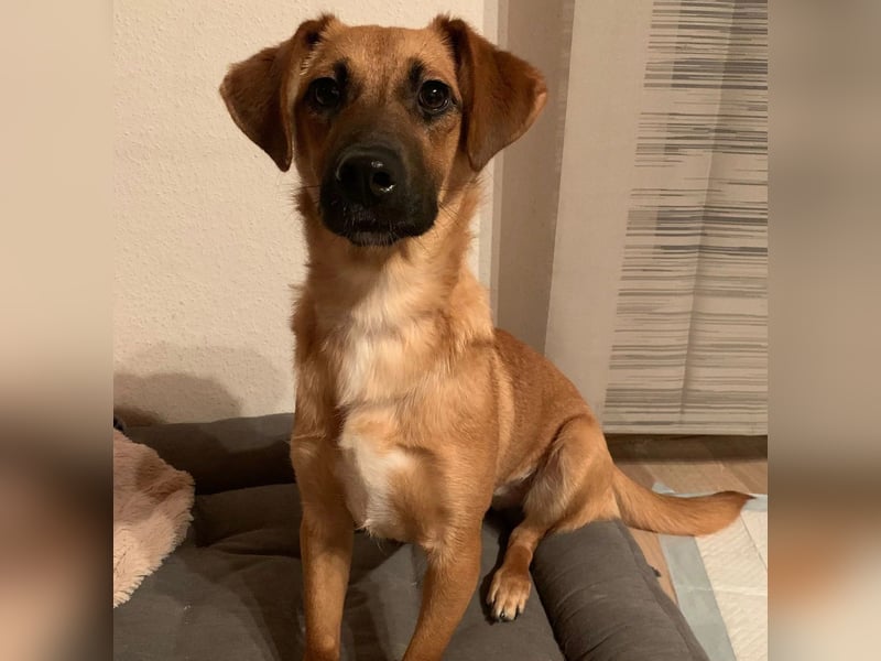 Edina sucht geduldige Menschen