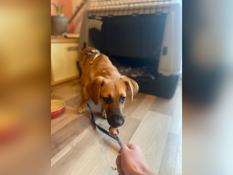 Edina sucht geduldige Menschen