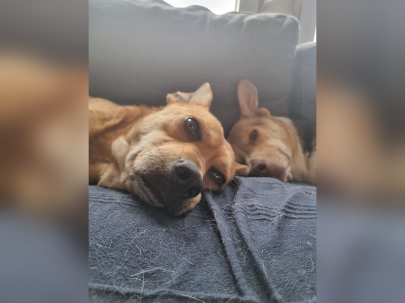 Lexi - wunderbar, unkompliziert und freundlich