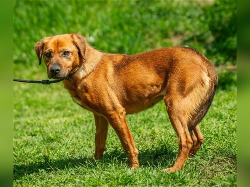 Rebi von kettenlos