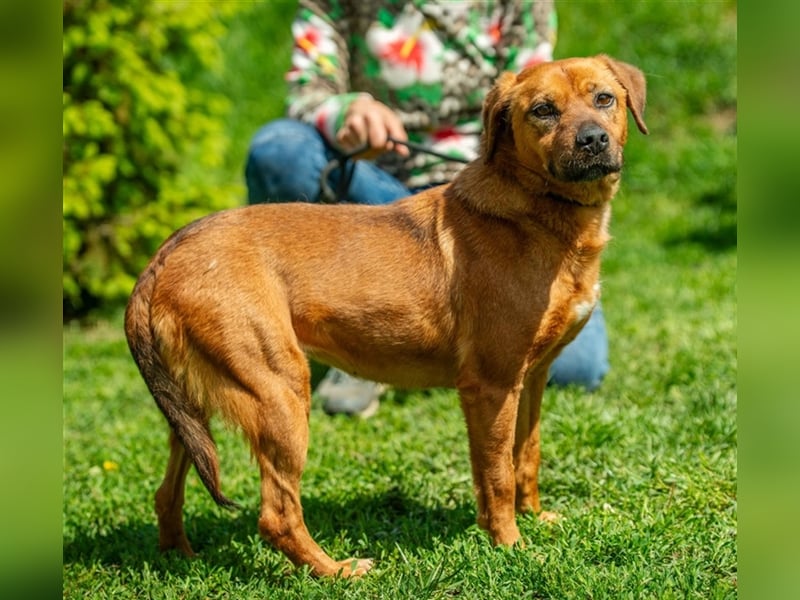 Rebi von kettenlos